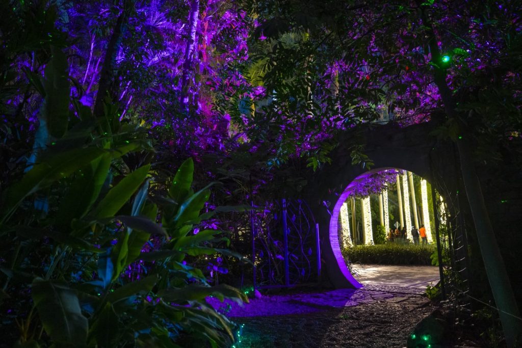 Celebra la unión familiar en Navidad en el Botánico, música en vivo y experiencias interactivas te esperan este 25 de diciembre 2025 1
