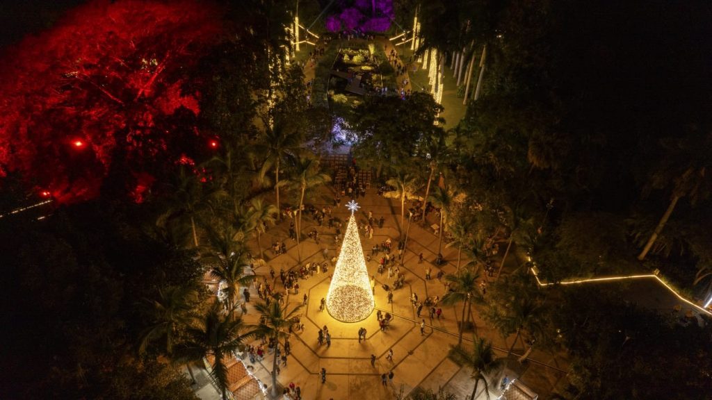 Celebra la unión familiar en Navidad en el Botánico, música en vivo y experiencias interactivas te esperan este 25 de diciembre 2025
