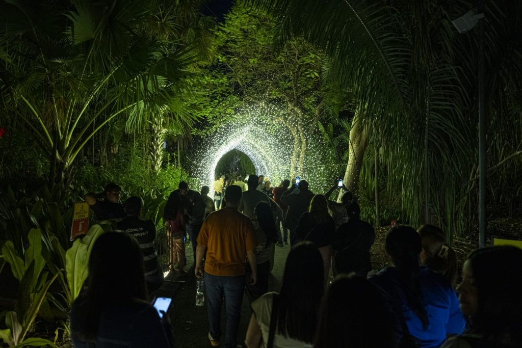 Celebra la unión familiar en Navidad en el Botánico, música en vivo y experiencias interactivas te esperan este 25 de diciembre 2025 4