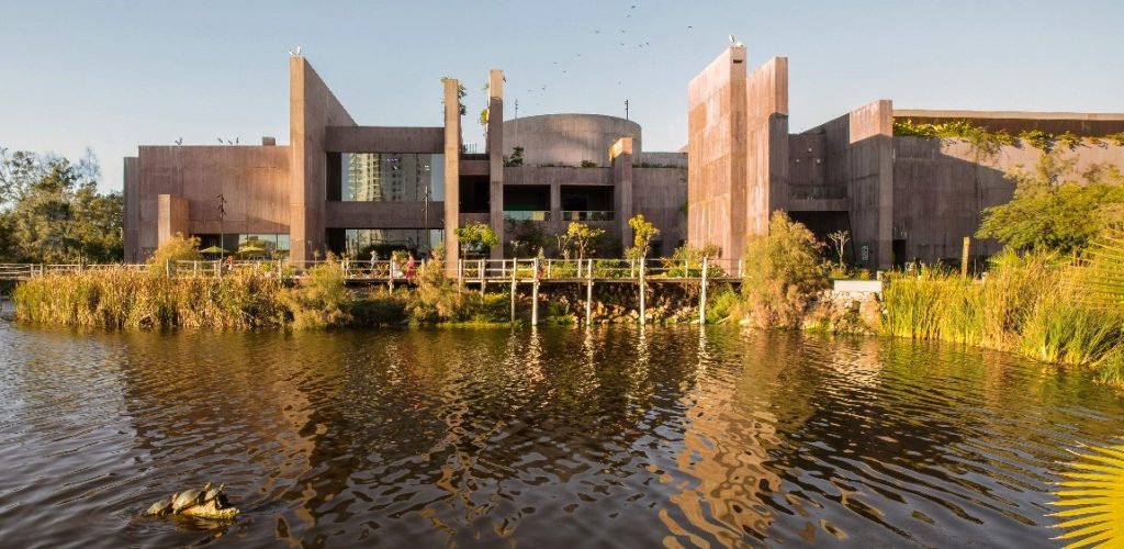 Hospital de la Fauna de Gran Acuario Mazatlán un Pilar en la Protección y Rescate de Fauna Silvestre a 7