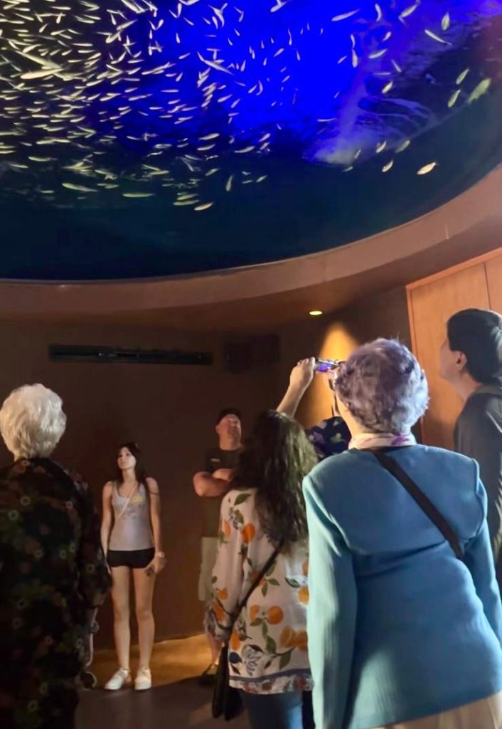 Entre escalas, más de 1800 cruceristas descubren la riqueza del Gran Acuario Mazatlán 2026 1