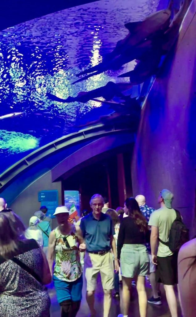 Entre escalas, más de 1800 cruceristas descubren la riqueza del Gran Acuario Mazatlán 2026 2