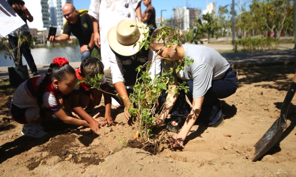 Inaugura Estrella Palacios jardín polinizador en el Parque Central 2026