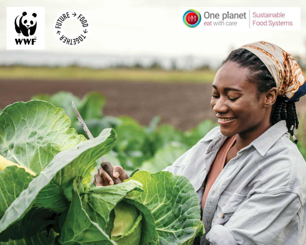 Líderes del turismo se reúnen en el Día de los Residuos Cero para lanzar la “Receta de Cambio” Global 2026 1