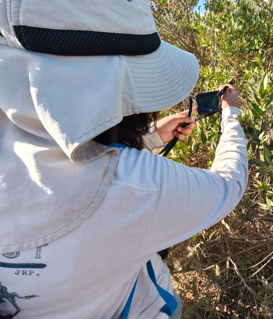El programa “Enamórate de Sinaloa” llega con una ruta especial a Lomas del Mar de Piaxtla, en San Ignacio 2026 1