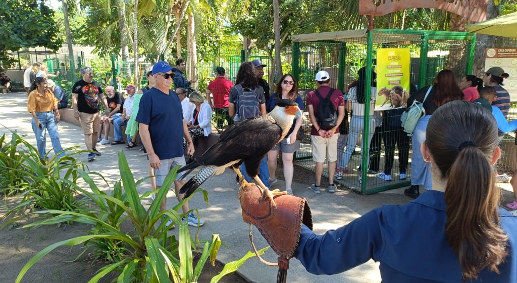 Gran Acuario Mazatlán presenta nuevas experiencias y embajadores a sus visitantes 2026
