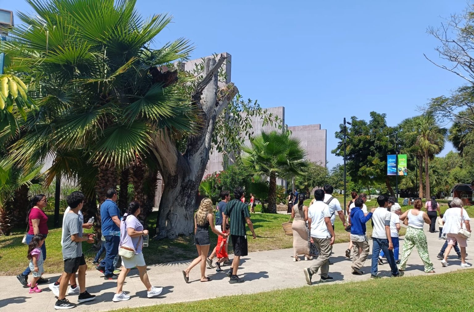 Gran Acuario Mazatlán presenta nuevas experiencias y embajadores a sus visitantes 2026 3