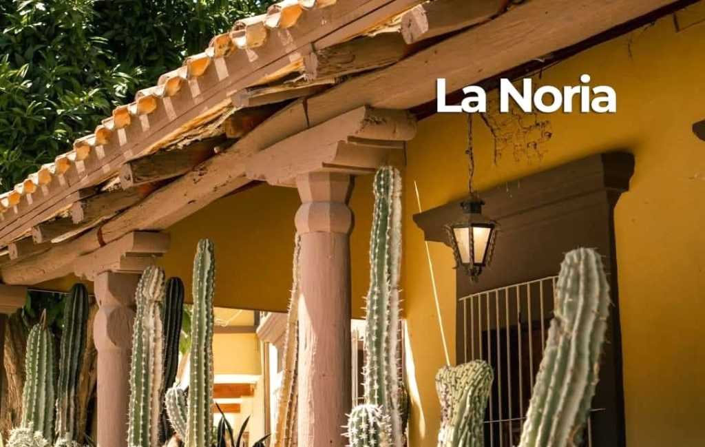 Impulsan el turismo gastronómico y deportivo en la zona rural de Mazatlán 2026