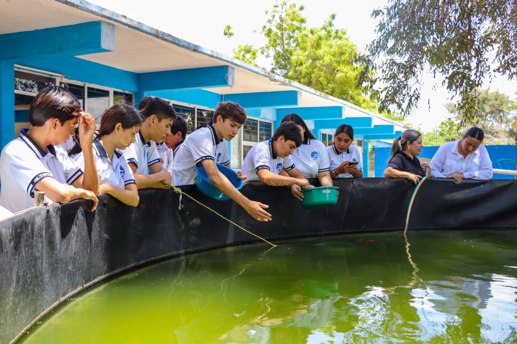 Impulsan formación acuícola con entrega de 3 mil alevines en el CETMAR 28 de AltatA (3)