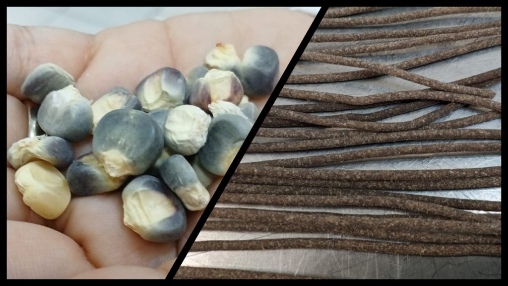 Investigadora de la UAS desarrolla pasta innovadora de maíz azul y amaranto para combatir enfermedades crónicas; nueva alternativa alimenticia