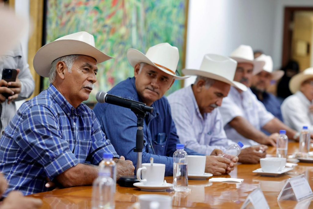 Gobernadora Yeraldine marca el inicio de la campaña de vacunación para prevenir la brucelosis bovina