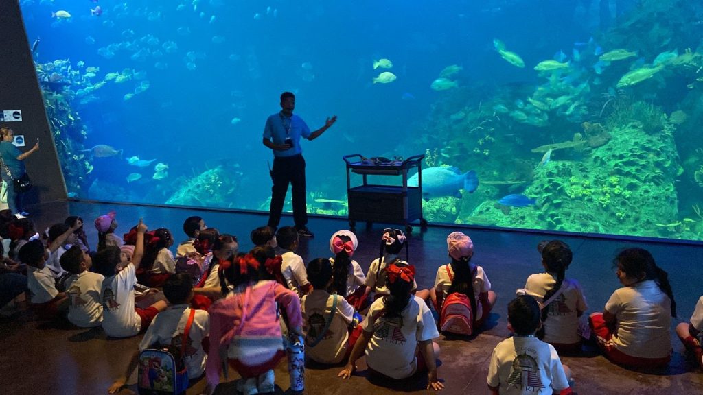 Gran Acuario Mazatlán Invita a Disfrutar de Novedades y Experiencias Únicas este Verano 2026 3