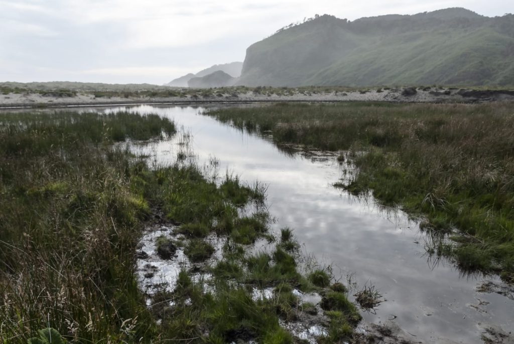 Impactará El Niño en la producción de alimentos de México, que registrará un verano inusualmente caluroso