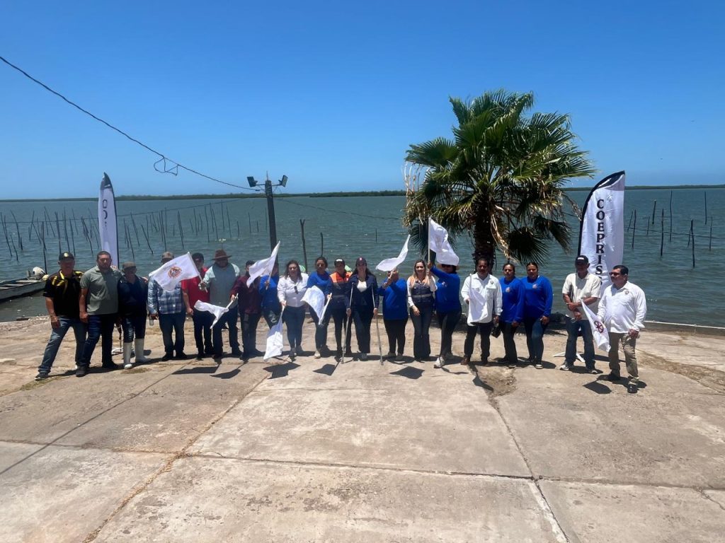 Inicia en Las Arenitas, Eldorado, la implementación del Programa Mexicano de Sanidad de Moluscos Bivalvos Inicia en Las Arenitas, Eldorado, la implementación del Programa Mexicano de Sanidad de Moluscos Bivalvos (1)