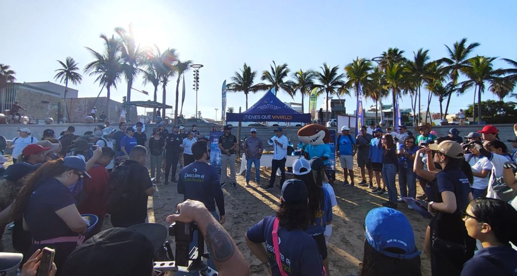 Más de 1000 personas se unen por los océanos en la tercera edición de La Gran Limpieza de Playas 2026 3