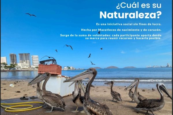 Portada Cúentame 2026 6