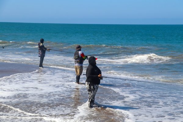 Con éxito se realiza el 8º Torneo Selectivo Club Pescados Mazatlán 2026 con la participación de 250 pescadoras y pescadores deportivos (10)