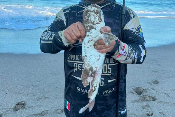 Con éxito se realiza el 8º Torneo Selectivo Club Pescados Mazatlán 2026 con la participación de 250 pescadoras y pescadores deportivos (2)