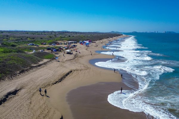 8.º Torneo Selectivo Club Pescados Mazatlán 2026 aa