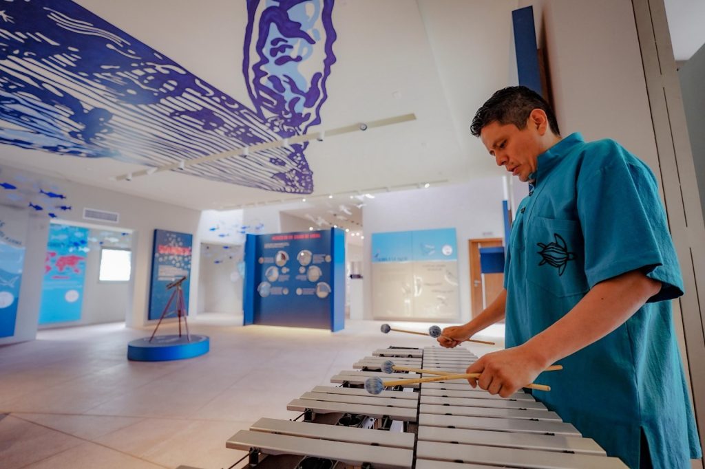 El ritmo comienza al primer golpe CMA anuncia el Foro de Percusiones 2026 (5)