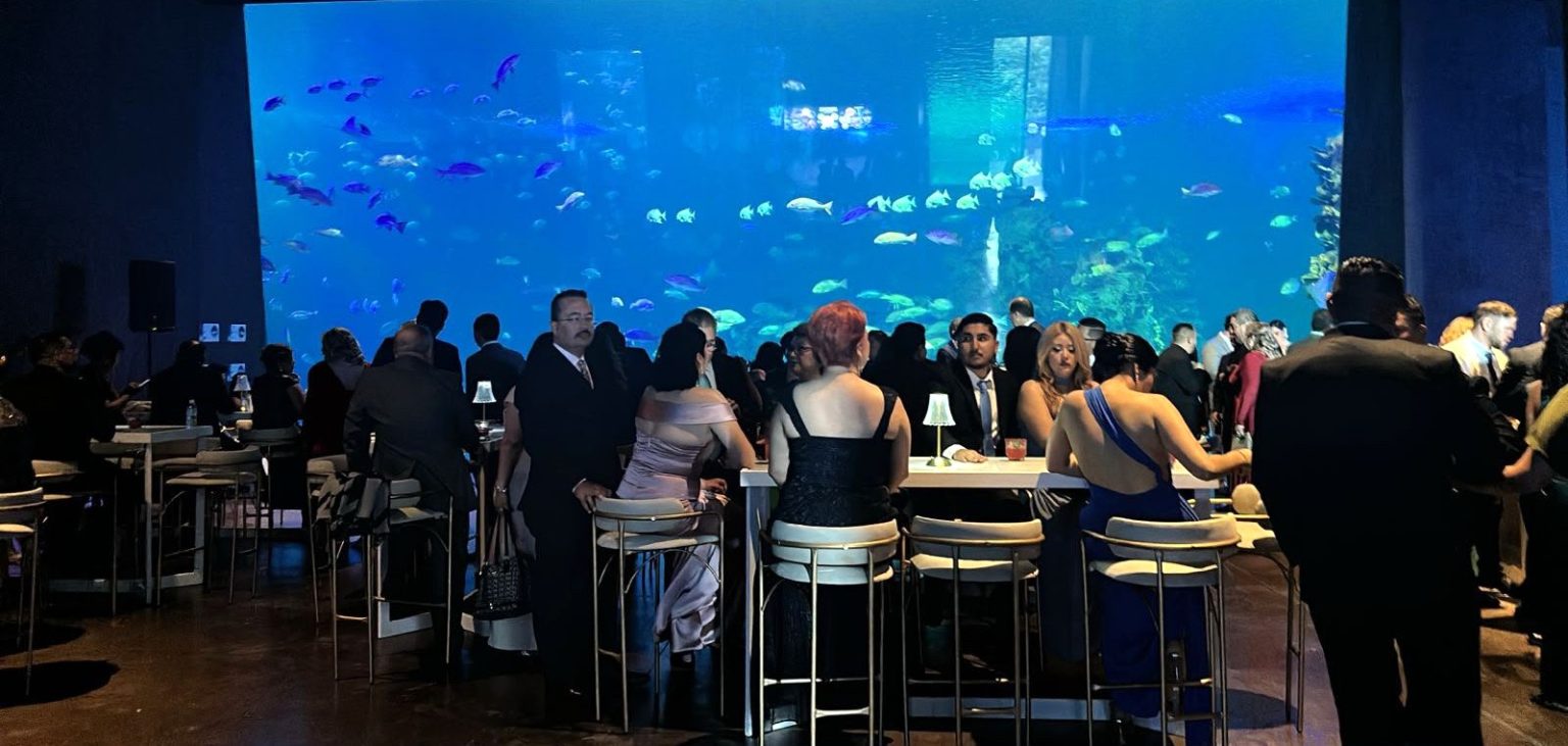 Gran Acuario Mazatlán se Consolida como el Escenario Favorito para Grandes Eventos y Celebraciones Gran Acuario Mazatlán se Consolida como el Escenario Favorito para Grandes Eventos y Celebraciones 2026