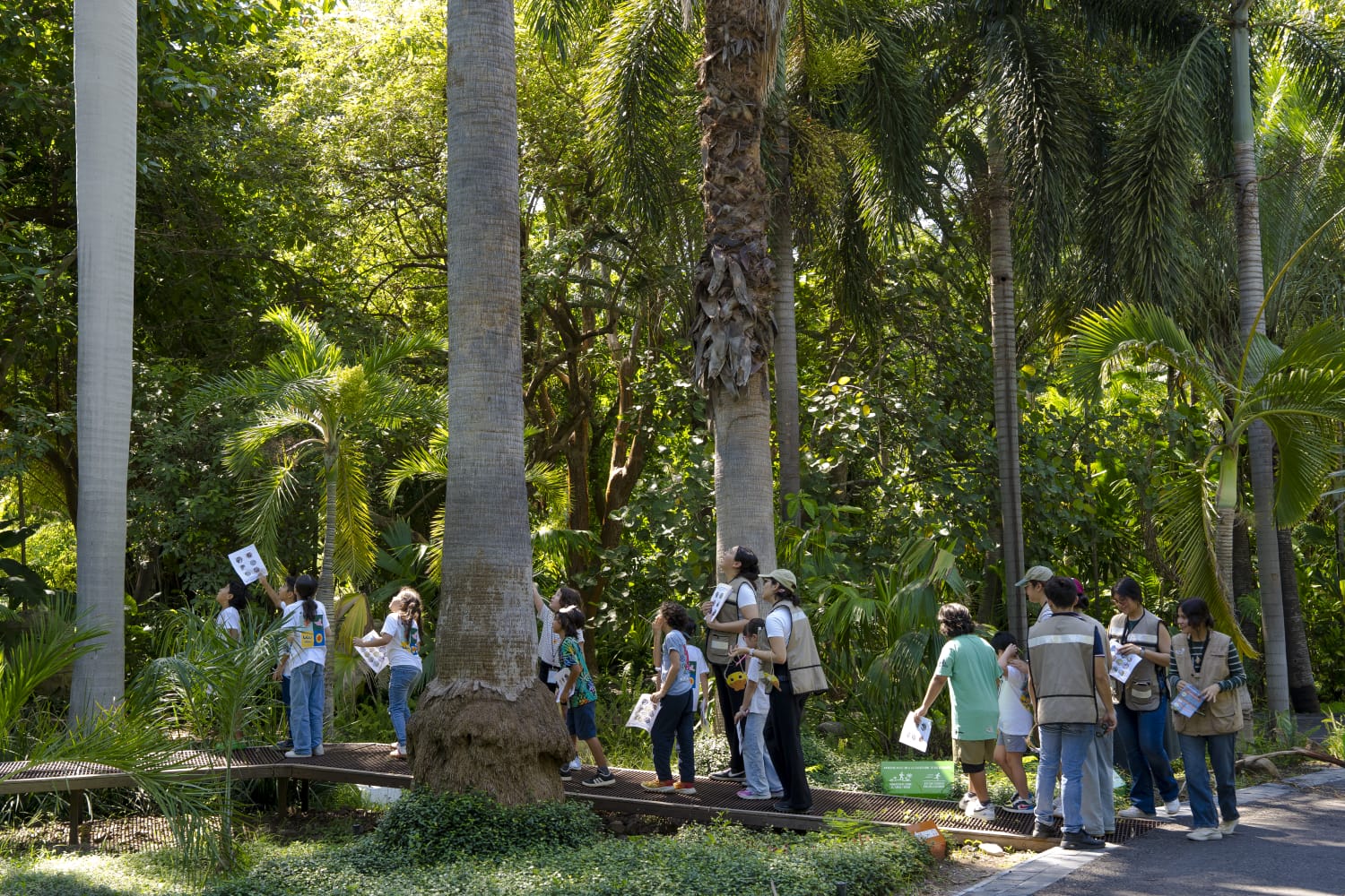 Invita Jardín Botánico Culiacán a su Curso de Verano 2026 (3)