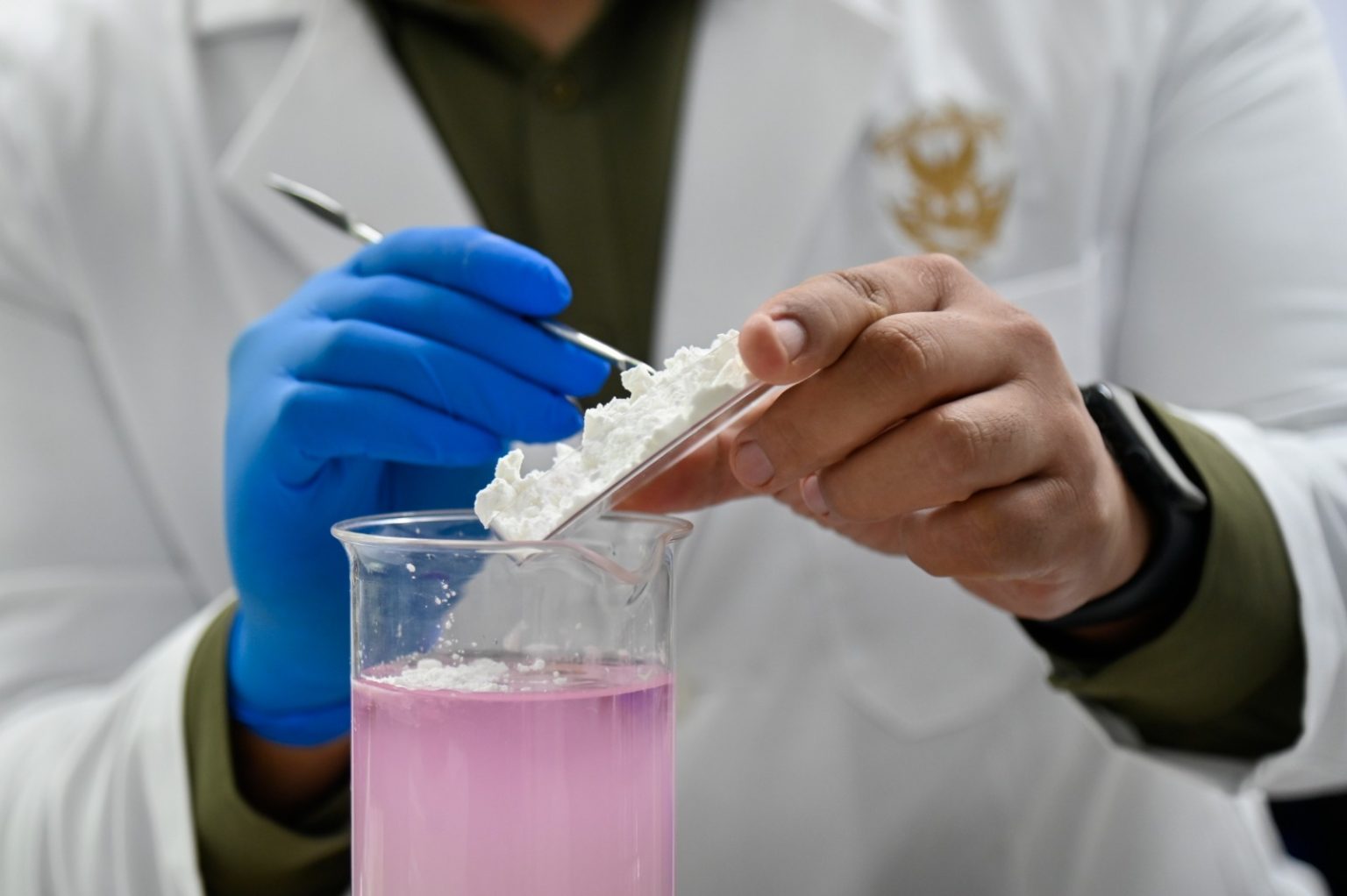 Científicos de la UAS desarrollan biopelículas comestibles a base de plantas regionales para prolongar la vida de las cosechas y reducir pérdidas agrícolas
