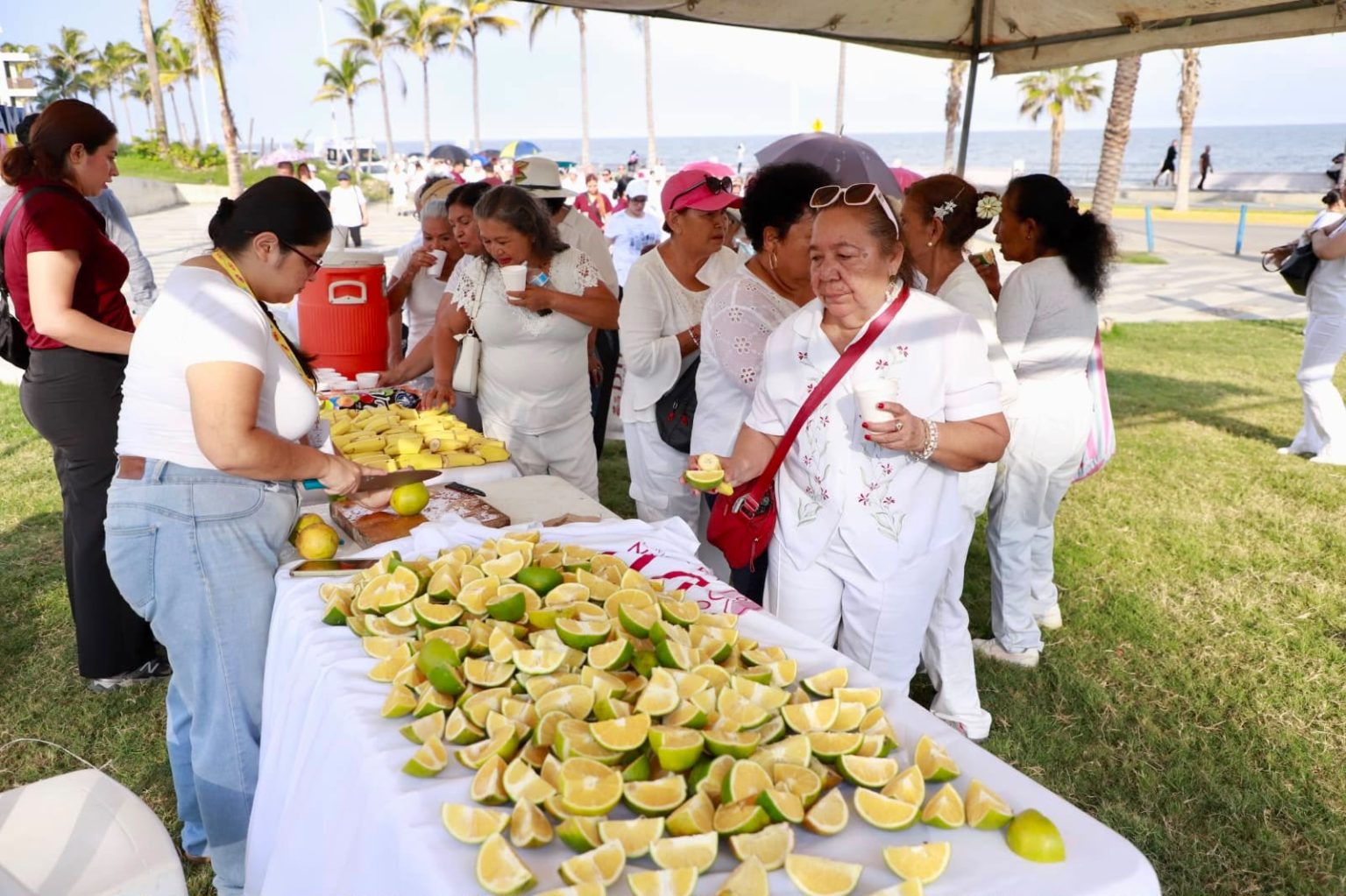 Gobierno Municipal de Mazatlán inicia festejos por el Día de las y los Abuelos con la caminata “Huellas de Vida”
