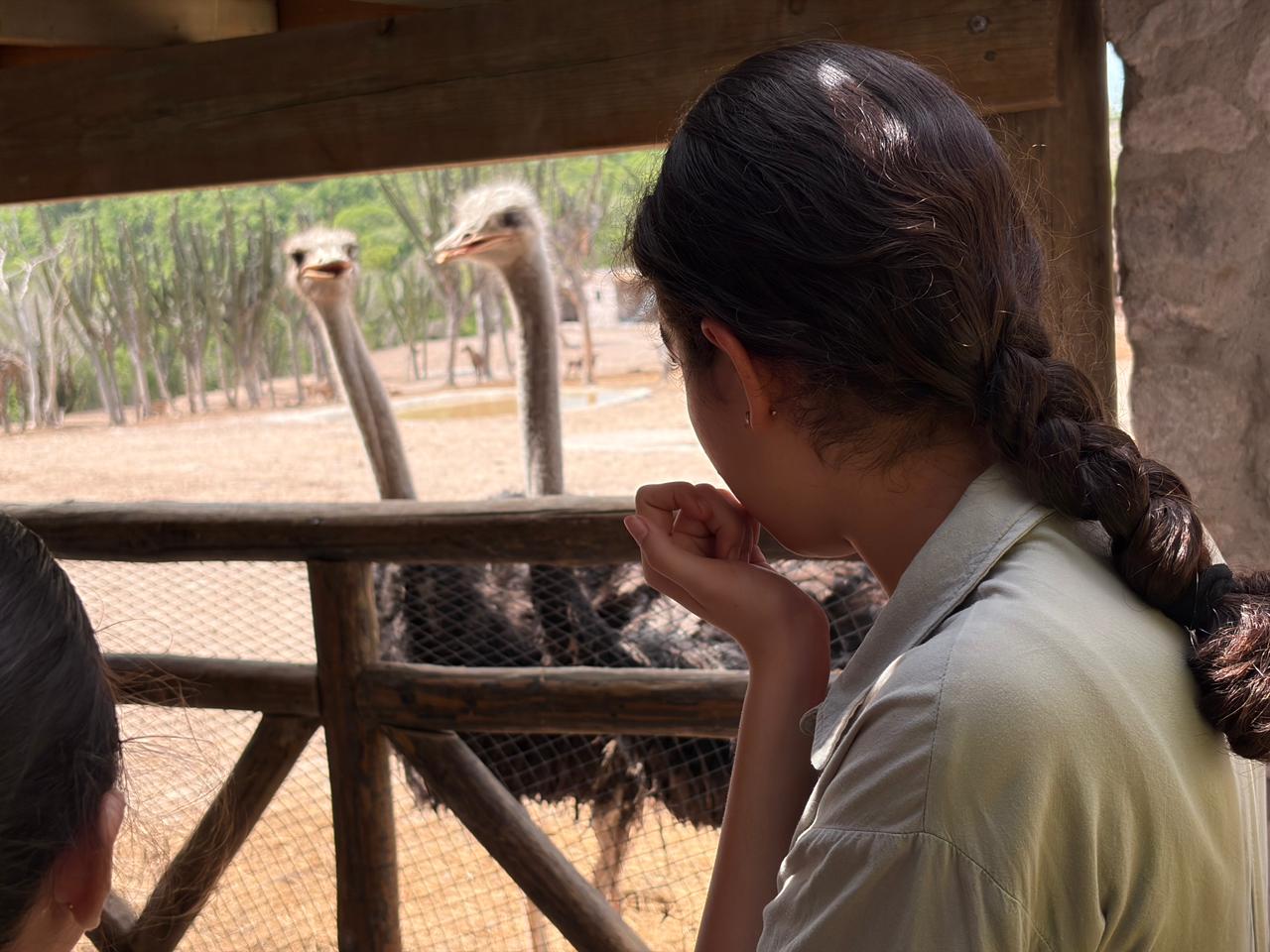 Muy Pronto &ldquo;Bioparc El Encanto&rdquo; Mazatl&aacute;n sigue generando nuevos atractivos y buenas noticias Galer&iacute;a (13)