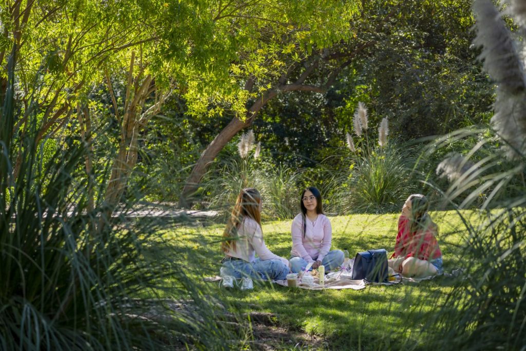 Picnic, naturaleza y Malcolm una tarde diferente llega al Jardín Botánico Culiacán