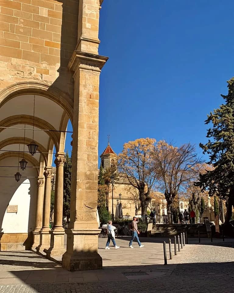 XI Foro Mundal de las Gastronomías Tradicionales Úbeda, en España 2026 6