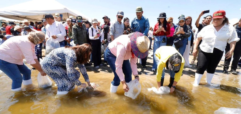 Haremos las gestiones necesarias para que la pesca de Sinaloa tenga mayores apoyos, anuncia Gobernadora Graciela Domínguez 2026