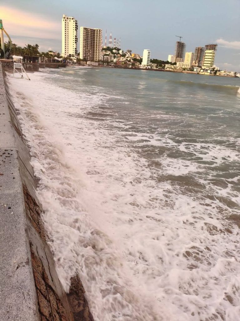 Marejada y erosión costera impactan las playas y la anidación de tortugas marinas en Mazatlán (1)