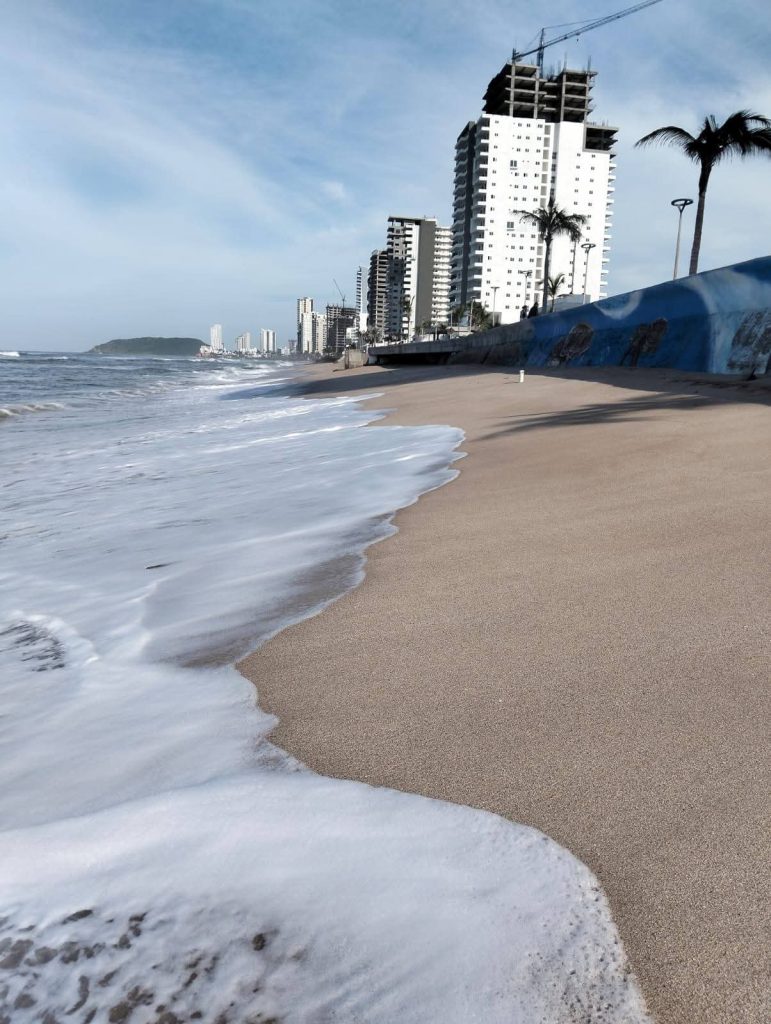 Marejada y erosión costera impactan las playas y la anidación de tortugas marinas en Mazatlán (9)