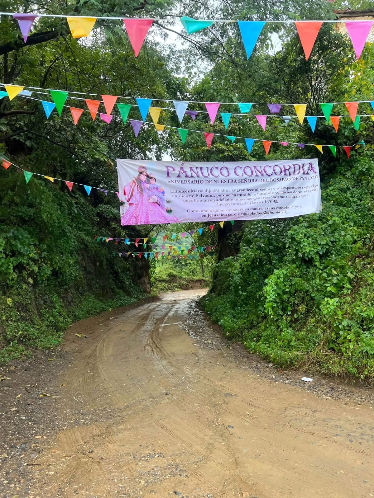 Caminar más de 50 Kilómtros de Fe, Agradecimiento y Tradición … 2026 Virgen del Rosario de Pánuco 11