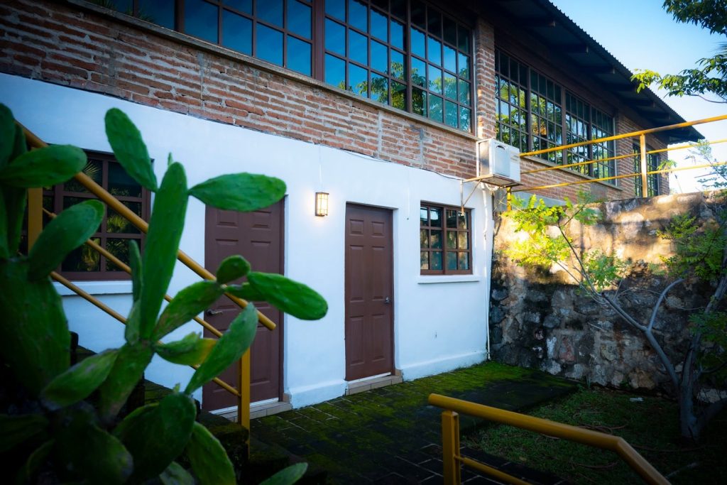 Entre montañas, paisajes espectaculares y guacamayas verdes la Reserva Ecológica de la UAS reabre sus puertas para vivir una aventura en Cosala (14)