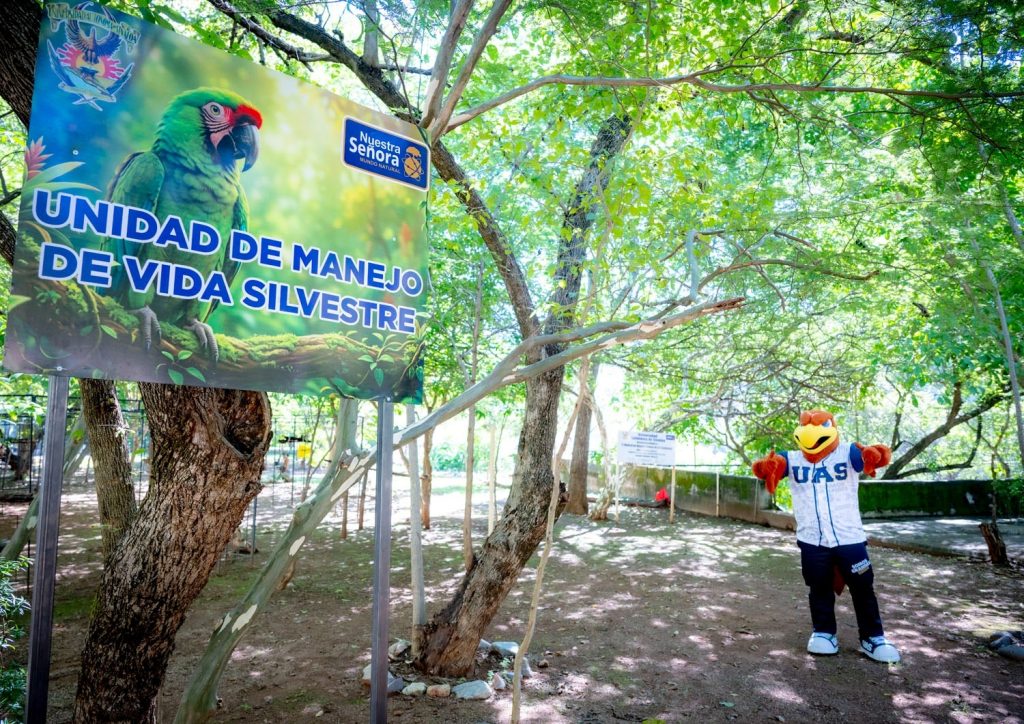 Entre montañas, paisajes espectaculares y guacamayas verdes la Reserva Ecológica de la UAS reabre sus puertas para vivir una aventura en Cosala (2)