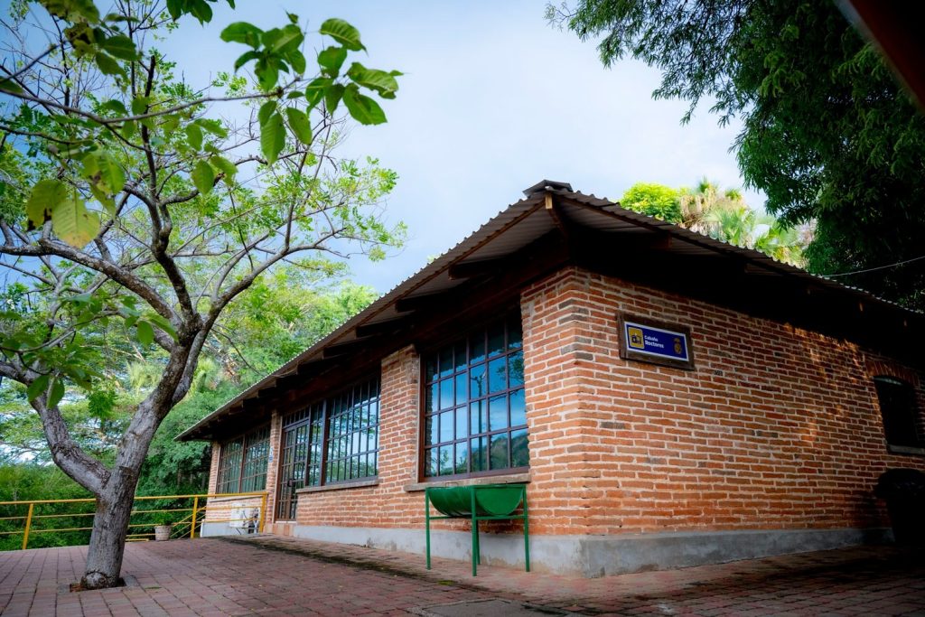 Entre montañas, paisajes espectaculares y guacamayas verdes la Reserva Ecológica de la UAS reabre sus puertas para vivir una aventura en Cosala (24)