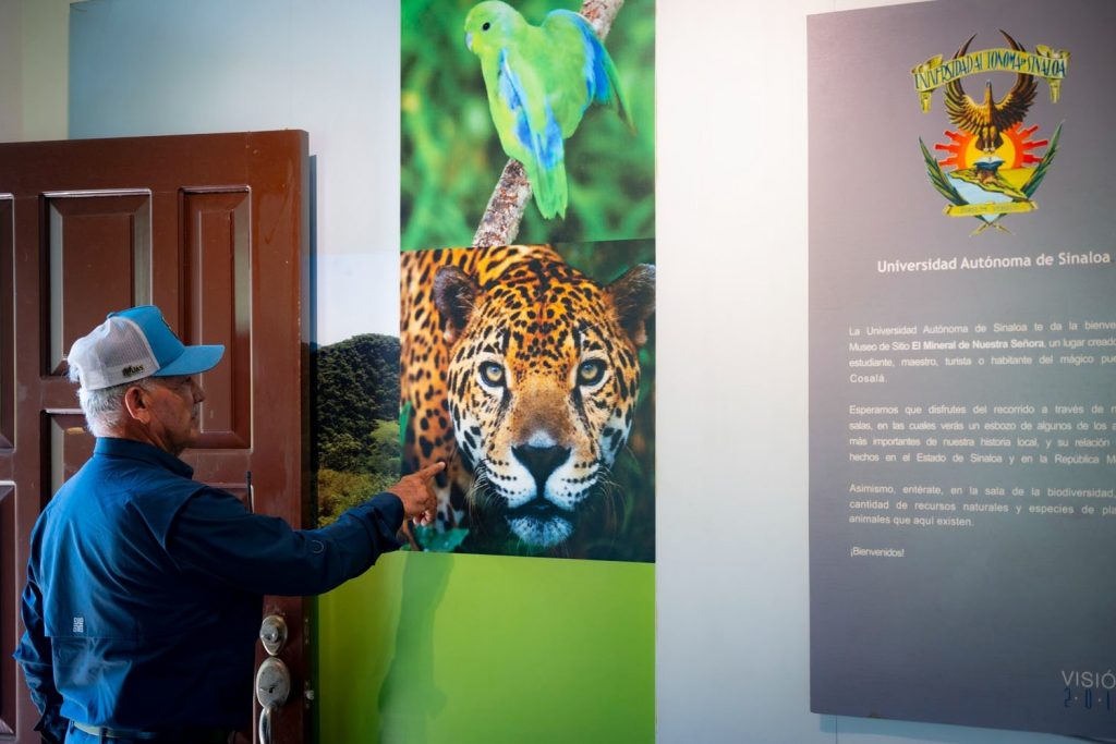 Entre montañas, paisajes espectaculares y guacamayas verdes la Reserva Ecológica de la UAS reabre sus puertas para vivir una aventura en Cosala (4)
