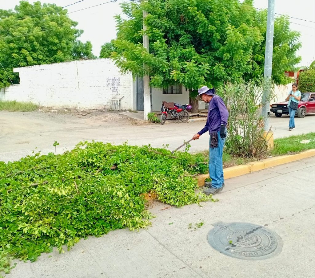 Gobierno de Mazatlán mejora espacios públicos de El Venadillo