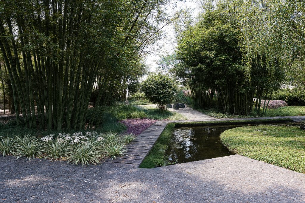 Jardín Botánico Culiacán renueva su emblemática Colección de Bambúes