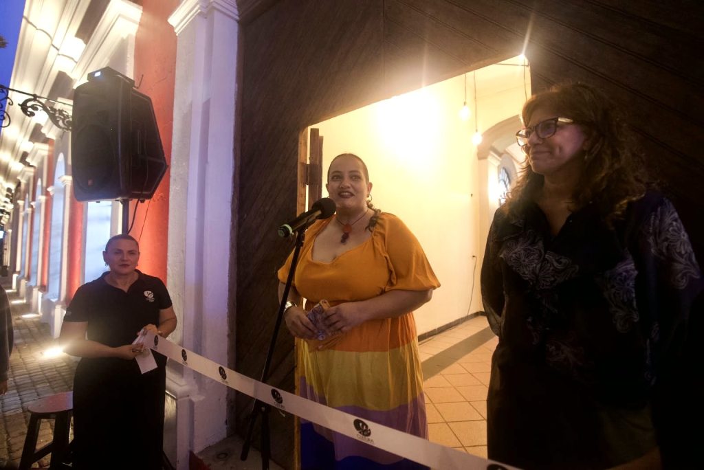 Marysol Galván llena de color y magia la Galería Rubio con su exposición “Mi mundo raro” 2026 3